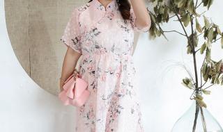 我的老婆是胖妞 我的老婆是胖妞