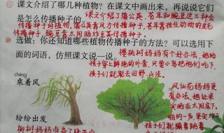 植物妈妈有办法课文 植物妈妈有办法课文