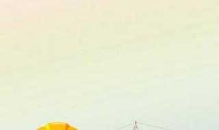 质量与安全 质量与安全