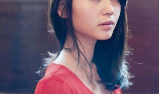 堀北真希在日本属于几线 堀北真希电视剧