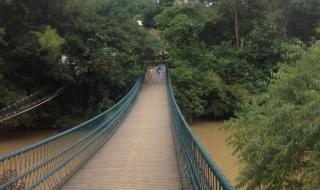 南宁市有哪些森林公园 良凤江国家森林公园
