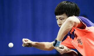 乒乓球亚洲锦标赛男单 乒乓球亚洲锦标赛男单