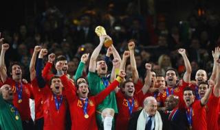 2010南非世界杯冠军是哪个国 2010世界杯冠军是哪个国家